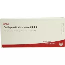 CARTILAGO articularis coxae GL D 6 ampulas, 10X1 ml