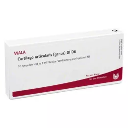 CARTILAGO articularis ģints GL D 6 ampulas, 10X1 ml