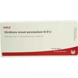 MEMBRANA sinuum paransalium GL D 12 ampulas, 10X1 ml