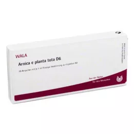 ARNICA E Planta kopā D 6 ampulas, 10X1 ml