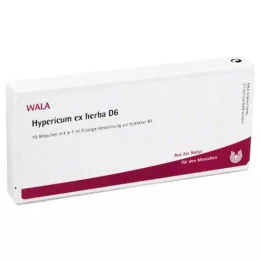HYPERICUM EX Herba D 6 ampulas, 10X1 ml