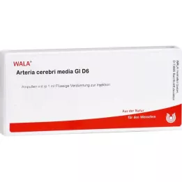ARTERIA CEREBRI barotne GL D 6 ampulas, 10X1 ml