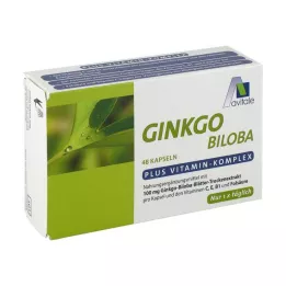 GINKGO 100 mg kapsulas+B1+C+E, 48 gab