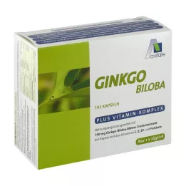GINKGO 100 mg kapsulas+B1+C+E, 192 gab