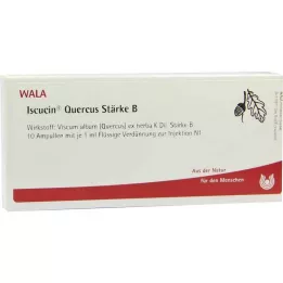 ISCUCIN quercus Strength B ampulas, 10X1 ml
