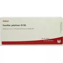 TONSILLAE palatinae GL D 6 ampulas, 10X1 ml