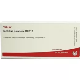 TONSILLAE palatinae GL D 12 ampulas, 10X1 ml
