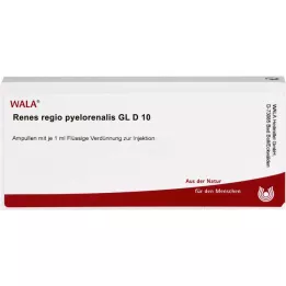 RENES REGIO pyelorenalis GL D 10 ampulas, 10X1 ml