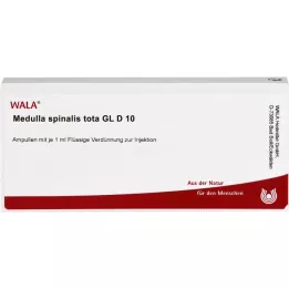 MEDULLA SPINALIS kopā GL D 10 ampulas, 10X1 ml