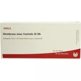 MEMBRANA sinus frontalis GL D 6 ampulas, 10X1 ml