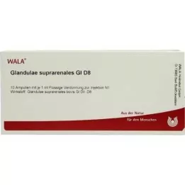 GLANDULAE SUPRARENALES GL D 8 ampulas, 10X1 ml