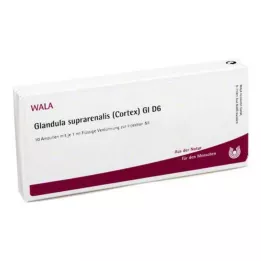 GLANDULA SUPRARENALES garoza GL D 6 ampulas, 10X1 ml