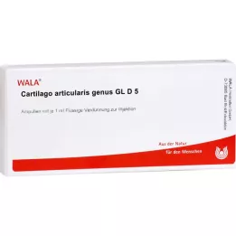 CARTILAGO articularis ģints GL D 5 ampulas, 10X1 ml