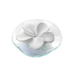 DUFTSTEIN Frangipani stikla plāksne caurspīdīga, 1 gab