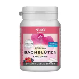 ENERGIE KAUGUMMI saskaņā ar Dr.Bach, 40 St