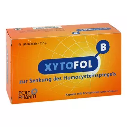 XYTO Fol B kapsulas, 90 gab