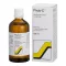 PHYTO C pilieni, 100 ml