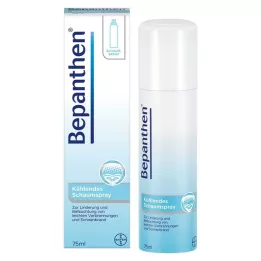BEPANTHEN Putu aerosols, 75 ml