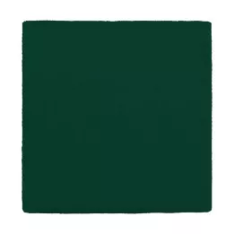 MULLKOMPRESSEN 10x10 cm 12-kārtīgi zaļš, 100 gab