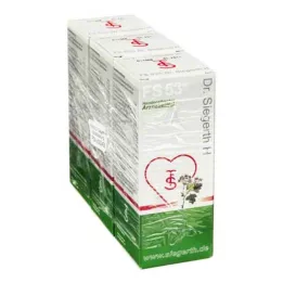 FS 53 Dr.Siegerth H šķidrums, 3X100 ml