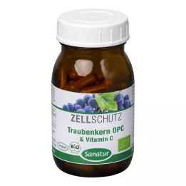 OPC TRAUBENKERN &amp; C vitamīna kapsulas, 90 gab