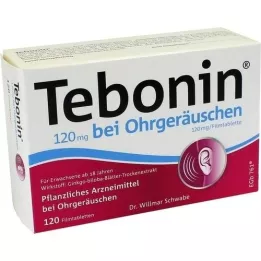 TEBONIN 120 mg pret troksni ausīs, apvalkotās tabletes, 120 gab