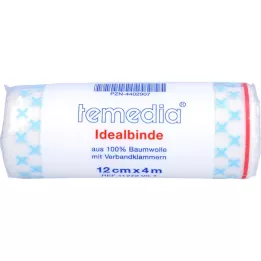 IDEALBINDE 12 cm ar klipsi, 1 gab