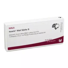 ISCUCIN mali stipruma D ampulas, 10X1 ml
