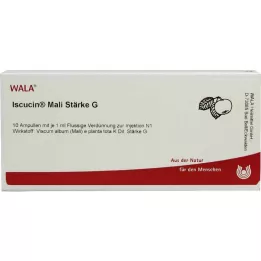 ISCUCIN mali stipruma G ampulas, 10X1 ml