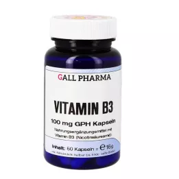 VITAMIN B3 100 mg GPH kapsulas, 60 gab