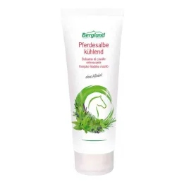 Atvēsinoša zirgu ziede (100 ml)