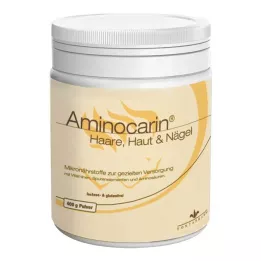 AMINOCARIN Pulvera kanna, 400 g