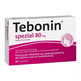 TEBONIN īpašas 80 mg apvalkotās tabletes, 60 gab