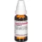 ZINGIBER Mātes tinktūra, 20 ml