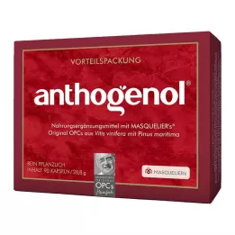OPC ORIGINAL Masqueliers Anthogenol kapsulas, 90 gab