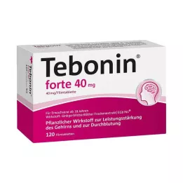TEBONIN forte 40 mg apvalkotās tabletes, 120 gab