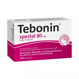 TEBONIN īpašas 80 mg apvalkotās tabletes, 120 gab