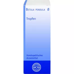 BETULA PENDULA Hanosan mātes tinktūra, 20 ml