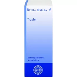 BETULA PENDULA Mātes tinktūra Hanosan, 50 ml