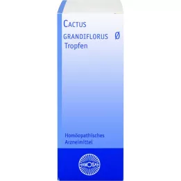 CACTUS GRANDIFLORUS Hanosan mātes tinktūra, 20 ml