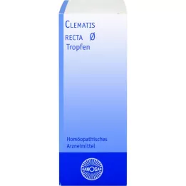 CLEMATIS RECTA Hanosan mātes tinktūra, 20 ml