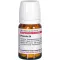 PROPOLIS D 4 tabletes, 80 gab