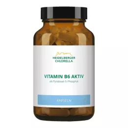 VITAMIN B6 KAPSULAS, 120 gab