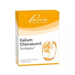 KALIUM CHLORATUM 2 Similiaplex tabletes, 100 gab