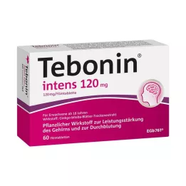 TEBONIN intens 120 mg apvalkotās tabletes, 60 gab