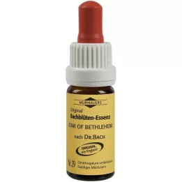 BACHBLÜTEN Murnauer Star of Bethlehem pilieni, 20 ml