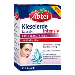 ABTEI Silīcija kapsulas, 210 gab