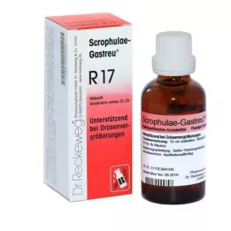 SCROPHULAE-Gastreu R17 maisījums, 22 ml