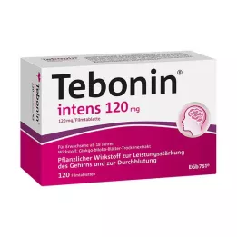 TEBONIN intens 120 mg apvalkotās tabletes, 120 gab