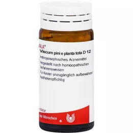 VISCUM PINI e planta tota D 12 lodītes, 20 g